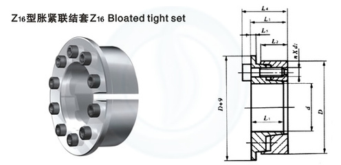 Z16型胀套65优姆金闫 性能、应用与市场概览